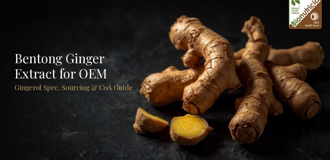 bentong-ginger-featured