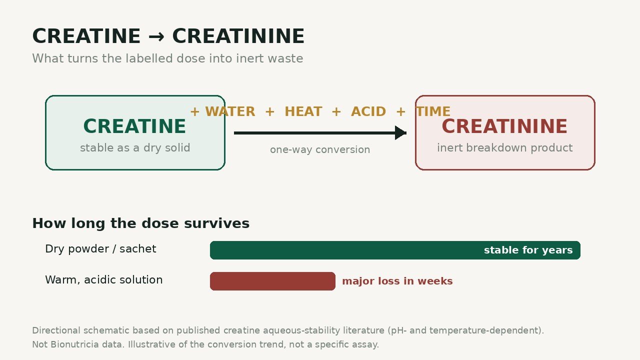 Creatine to creatinine conversion diagram