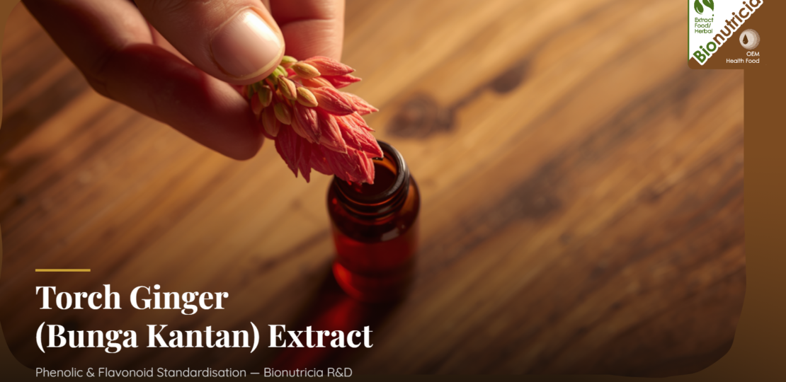 torch-ginger-etlingera-elatior-extract-oem-featured