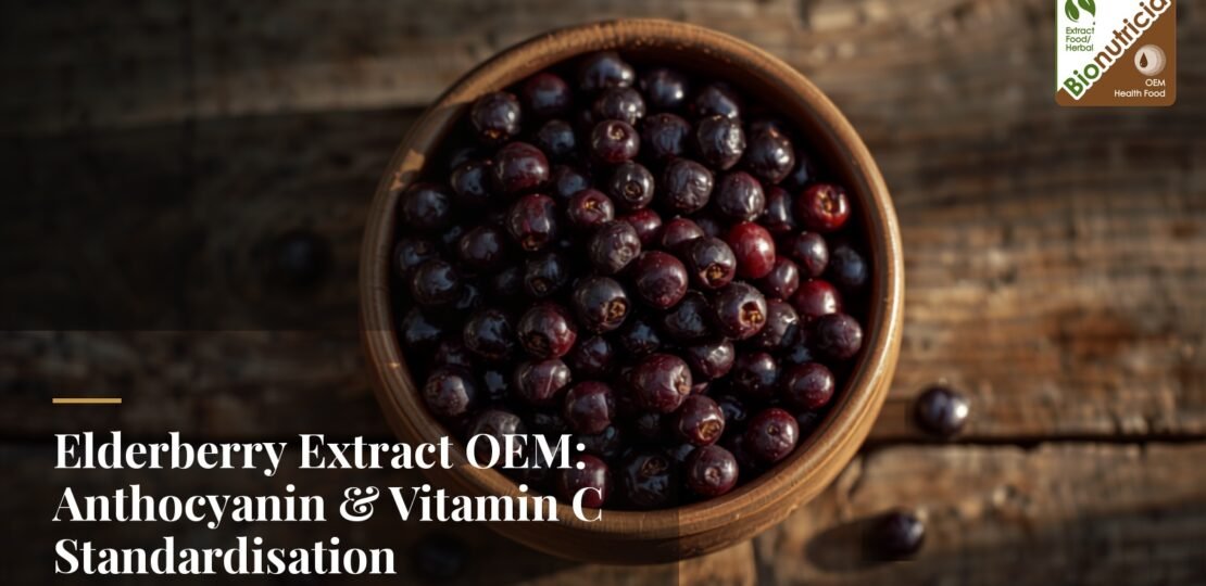 elderberry-featured