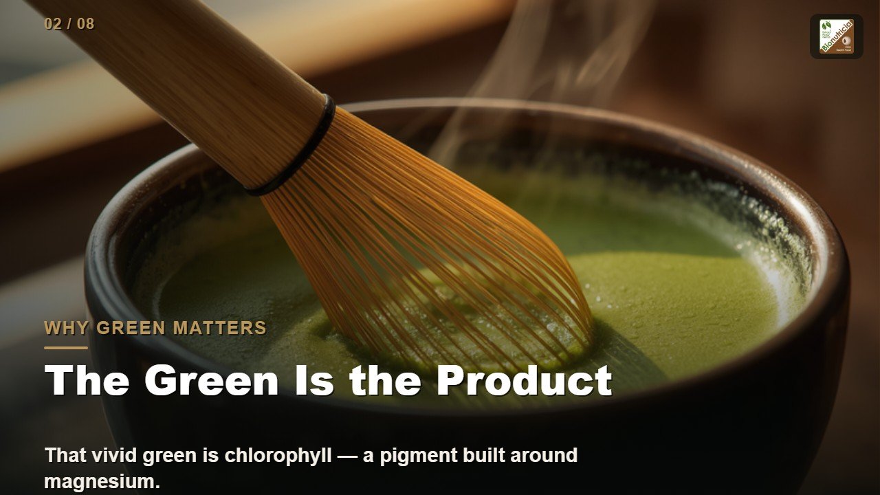 Whisking bright green matcha