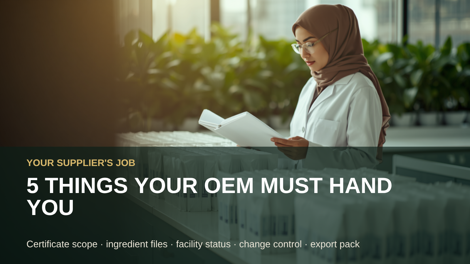 Five things your OEM manufacturer must hand you for Indonesia market entry